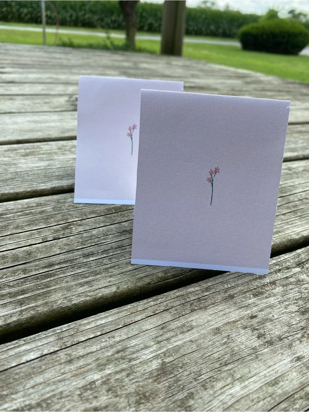 Daisy Meadow Cowboy Cards and Envelopes